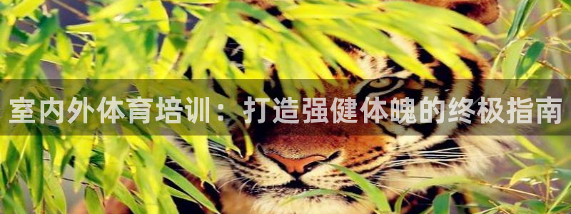 极悦平台使用注意事项：室内外体育培训：打造强健体魄的
