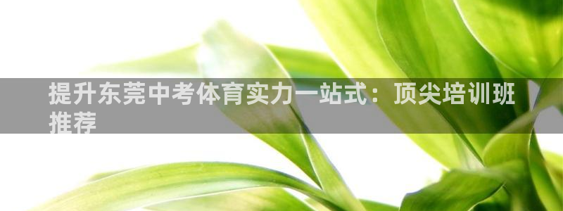 极悦娱乐代理多少钱一个：提升东莞中考体育实力一站式：
