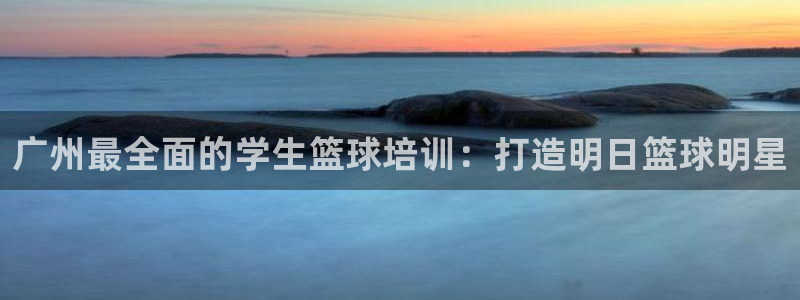极悦平台注册流程视频：广州最全面的学生篮球培训：打造