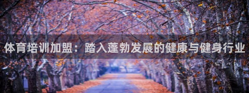 极悦平台app二维码怎么弄：体育培训加盟：踏入蓬勃发