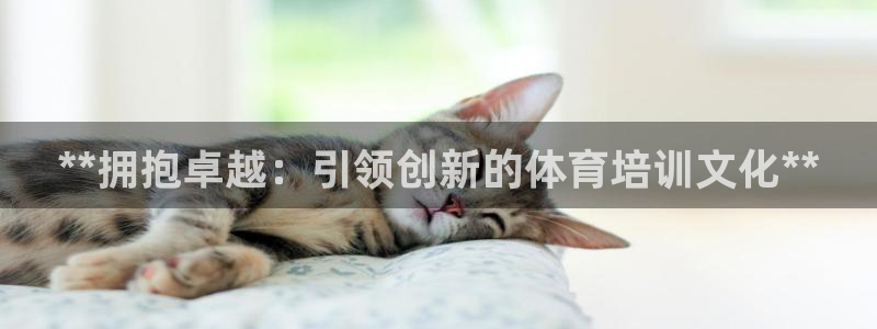 极悦平台客服团队介绍：**拥抱卓越：引领创新的体育培