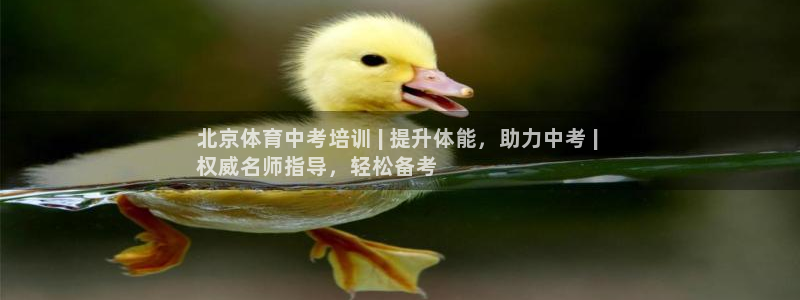 极悦娱乐会被骗吗是真的吗：北京体育中考培训 | 提升