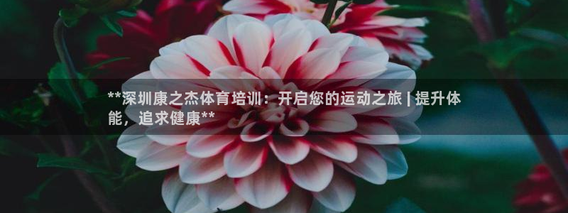 极悦平台官网登录入口网址查询：**深圳康之杰体育培训