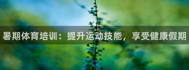 极悦平台注册用户名格式错误：暑期体育培训：提升运动技