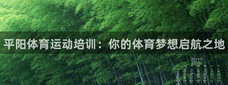 极悦平台发7O777：平阳体育运动培训：你的体育梦想