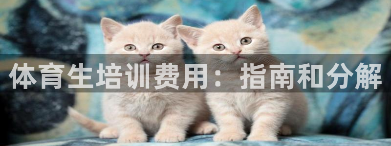 极悦平台客服团队介绍