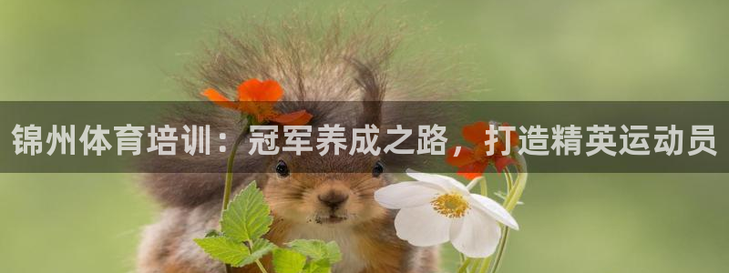 极悦娱乐登录拒绝访问怎么办理：锦州体育培训：冠军养成