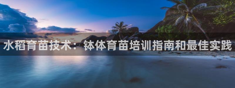 极悦平台反7O777：水稻育苗技术：钵体育苗培训指南