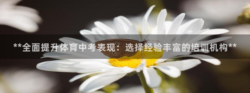 极悦生活家是什么平台的产品：**全面提升体育中考表现