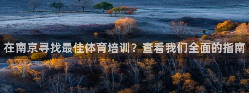 极悦注册：在南京寻找最佳体育培训？查看我们全面的指南
