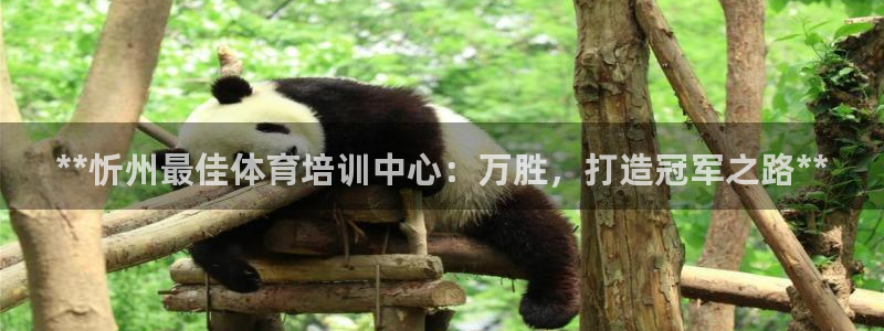 极悦平台注册流程视频：**忻州最佳体育培训中心：万胜