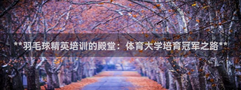 极悦娱乐官网app下载安装：**羽毛球精英培训的殿堂