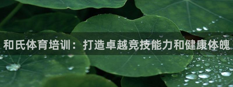 极悦官方网站入口网址：和氏体育培训：打造卓越竞技能力