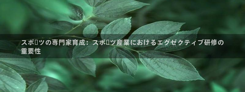 极悦官网旗舰店是正品吗：スポーツの専門家育成：スポー
