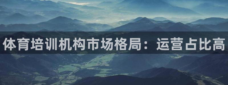 极悦平台官方网站首页：体育培训机构市场格局：运营占比