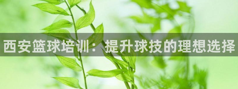 极悦平台注册的弊端及解决方法：西安篮球培训：提升球技