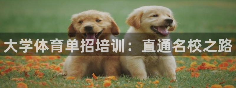 极悦平台官方网址查询：大学体育单招培训：直通名校之路