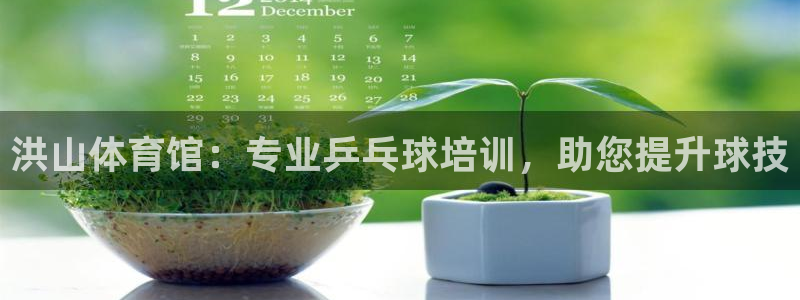 极悦平台注册流程视频：洪山体育馆：专业乒乓球培训，助