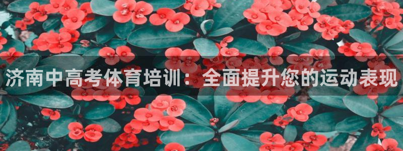 极悦平台是干什么的公司：济南中高考体育培训：全面提升