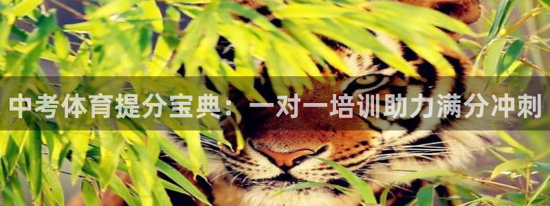 极悦平台登录不进去怎么回事：中考体育提分宝典：一对一