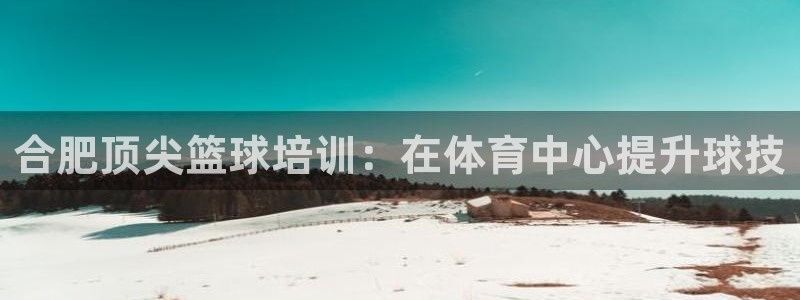 极悦娱乐贴吧：合肥顶尖篮球培训：在体育中心提升球技
