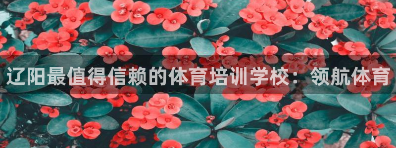 极悦平台和蓝狮平台区别