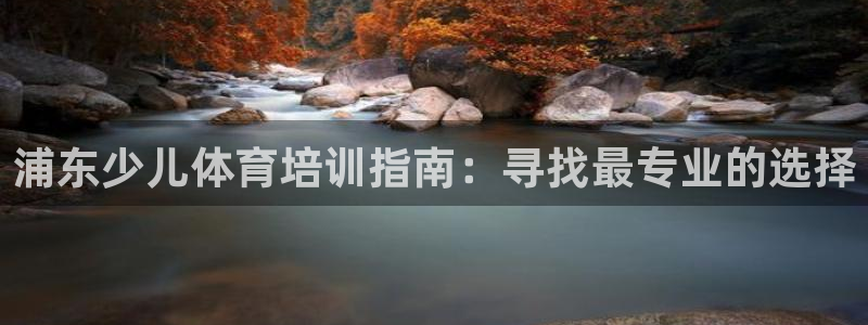 极悦平台官网入口：浦东少儿体育培训指南：寻找最专业的