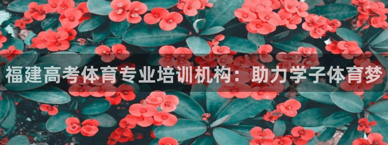 极悦娱乐代理人是谁啊：福建高考体育专业培训机构：助力