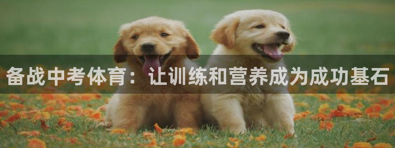 加盟极悦教育要多少钱：备战中考体育：让训练和营养成为