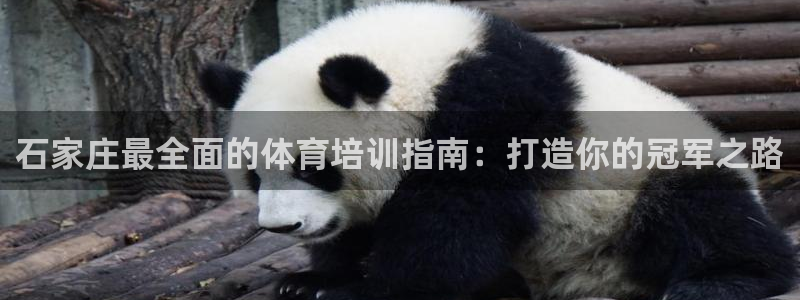 极悦娱乐是资金盘吗：石家庄最全面的体育培训指南：打造