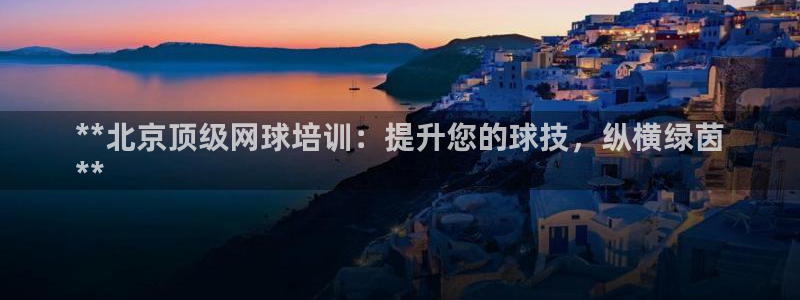 加盟极悦教育：**北京顶级网球培训：提升您的球技，纵
