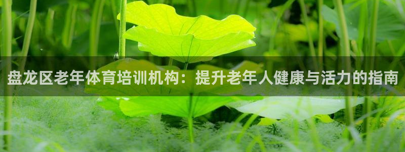 极悦娱乐官网客服联系方式是什么：盘龙区老年体育培训机