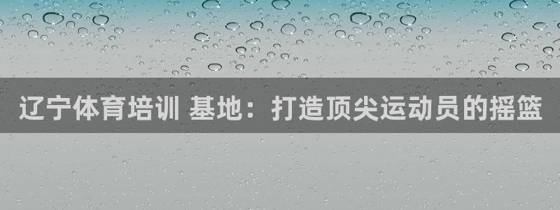 极悦平台用户评价与反馈：辽宁体育培训 基地：打造顶尖