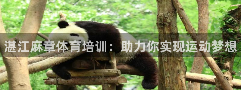 极悦娱乐代理怎么样啊：湛江麻章体育培训：助力你实现运