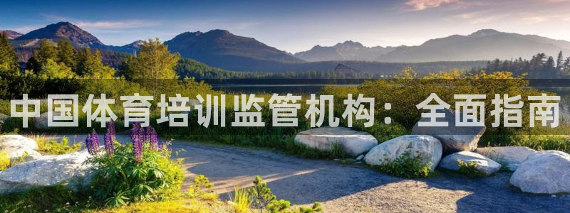 极悦官网旗舰店地址：中国体育培训监管机构：全面指南