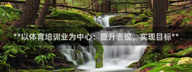 极悦娱乐代理怎么样可靠吗：**以体育培训业为中心：提