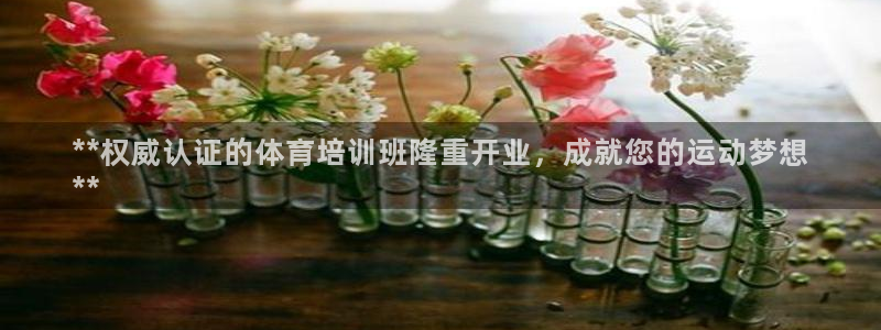 极悦官方网站app下载：**权威认证的体育培训班隆重