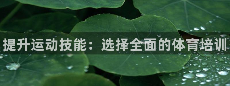 极悦平台注册用户名验证：提升运动技能：选择全面的体育