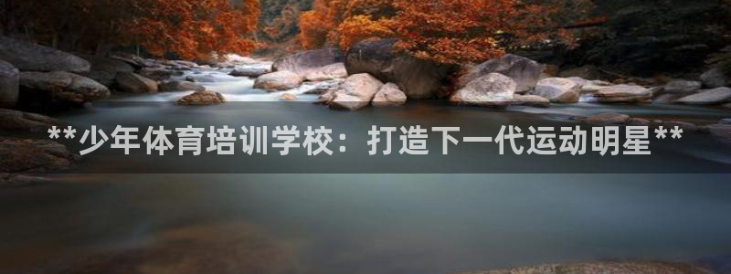 苏州极悦信息科技有限公司：**少年体育培训学校：打造