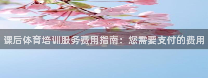 极悦平台客服团队介绍：课后体育培训服务费用指南：您需