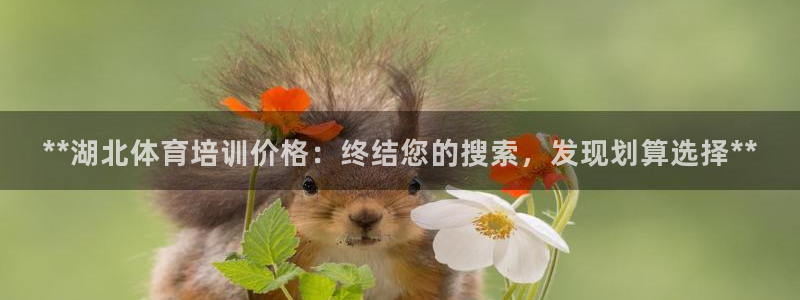 极悦平台使用教程视频：**湖北体育培训价格：终结您的