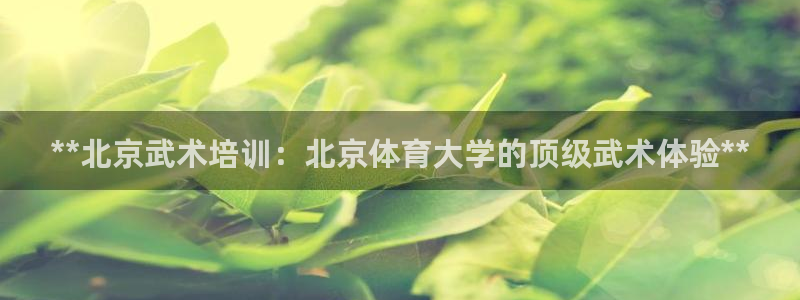 极悦平台注册流程详解图：**北京武术培训：北京体育大