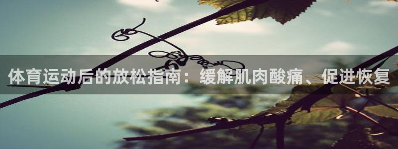 极悦娱乐公司最新招聘信息官网：体育运动后的放松指南：