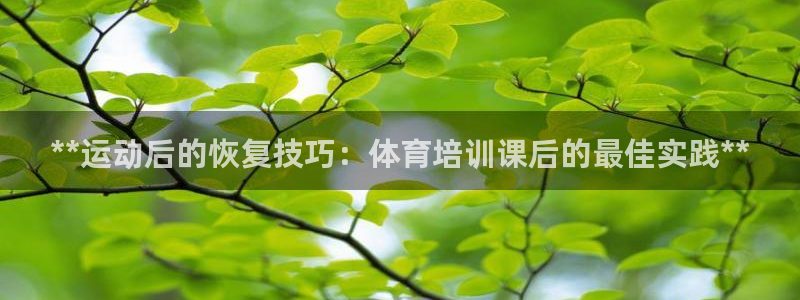 极悦娱乐的最新版本更新内容在哪：**运动后的恢复技巧