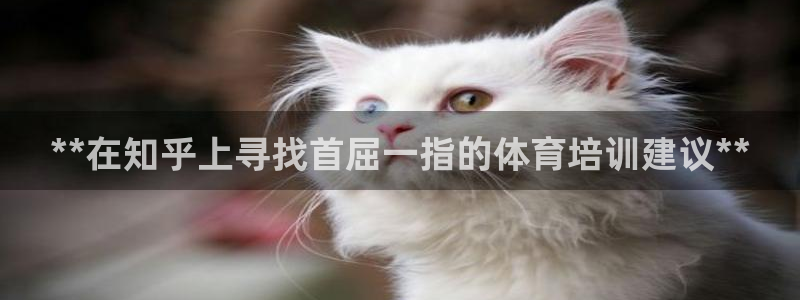 极悦平台好7.0.2.4怎么样：**在知乎上寻找首屈