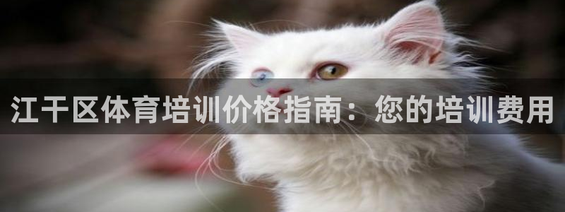 极悦平台与网易合作详情：江干区体育培训价格指南：您的