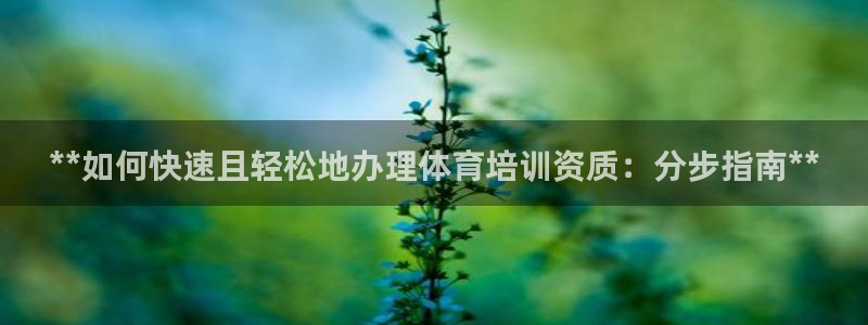 极悦平台注册官网下载：**如何快速且轻松地办理体育培