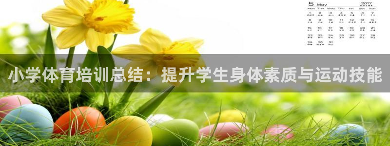 极悦平台客服的联系方式是多少：小学体育培训总结：提升