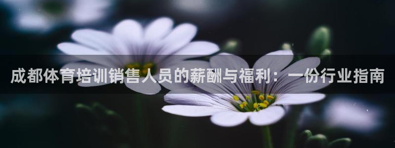 极悦娱乐官网APP下载：成都体育培训销售人员的薪酬与