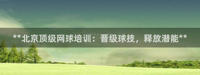 极悦平台代理：**北京顶级网球培训：晋级球技，释放潜
